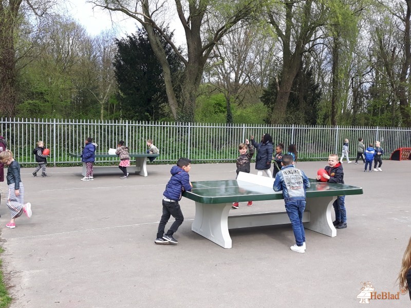 BS De Phoenix uit Rozenburg