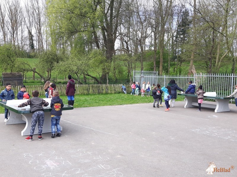 BS De Phoenix uit Rozenburg