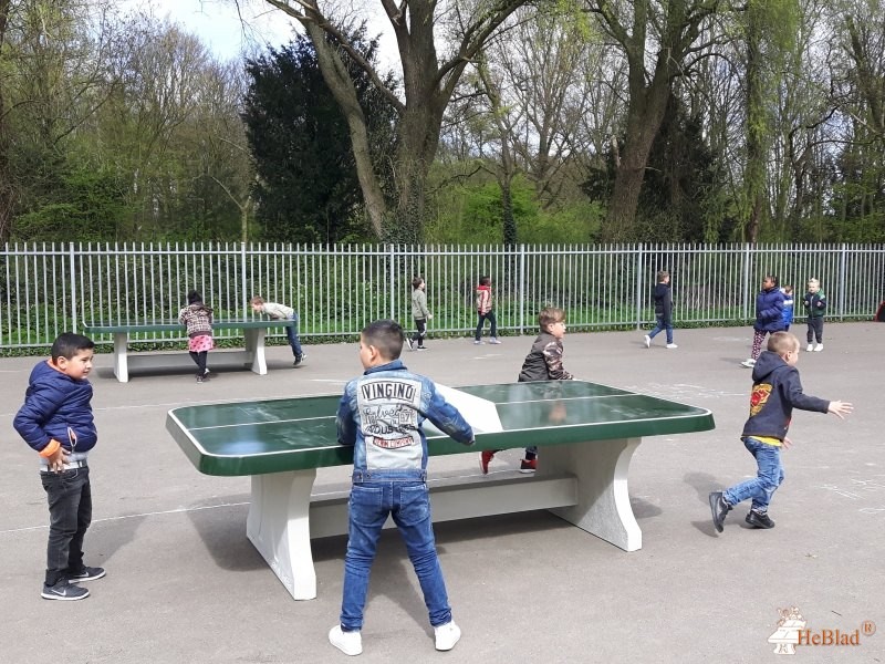 BS De Phoenix uit Rozenburg