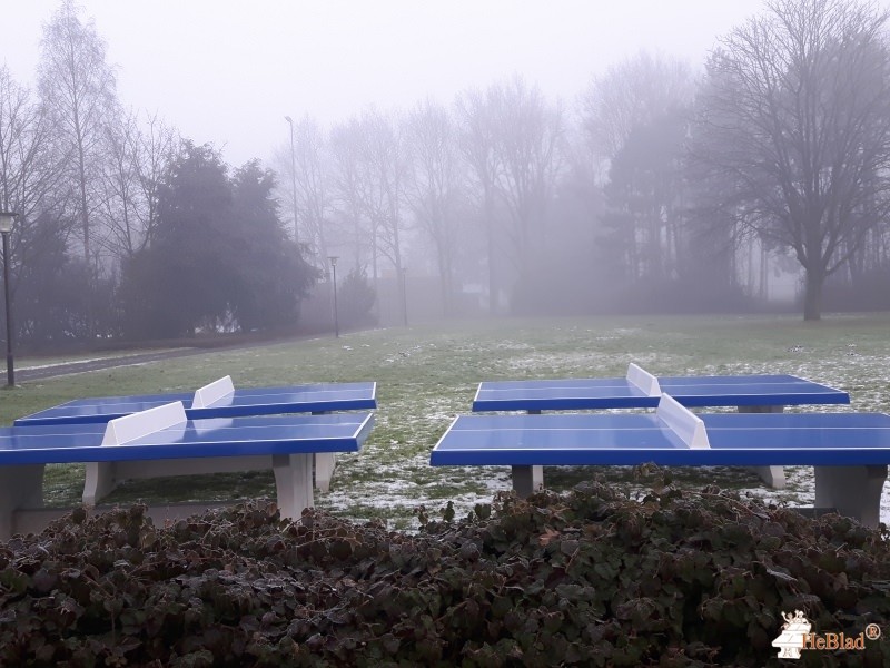 Groenendael uit Hilvarenbeek