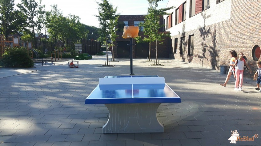 SBO De Windroos  uit Oldenzaal 