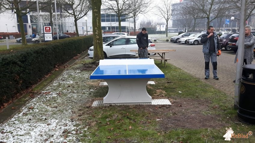 Opleiding: CE: SportMarketing & Management uit Rotterdam