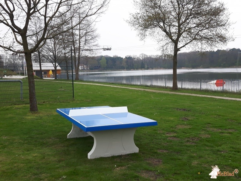 De Ijzeren Man uit Weert