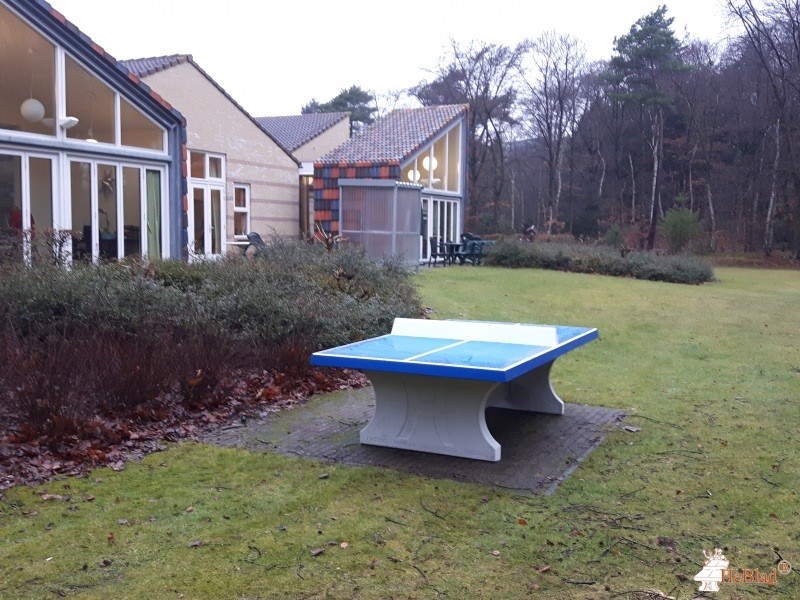 Afdeling Rintveld uit Zeist
