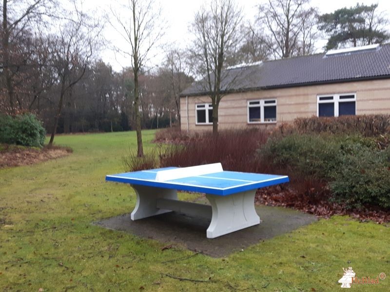 Afdeling Rintveld uit Zeist