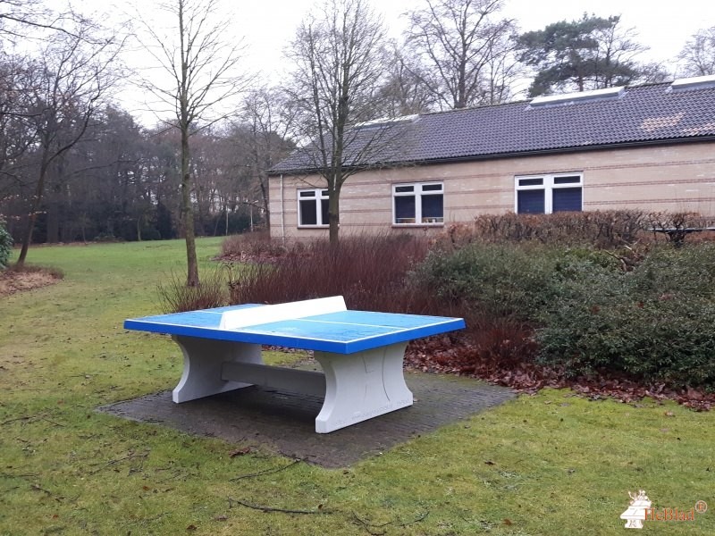 Afdeling Rintveld uit Zeist