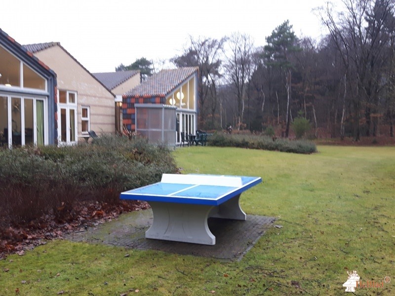 Afdeling Rintveld uit Zeist
