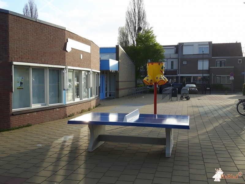 Obs De Waterlelie uit Zoetermeer