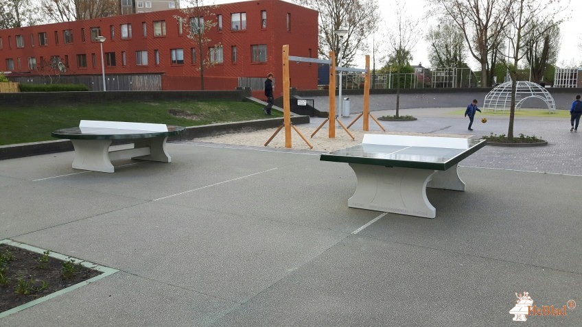 Basisschool de Punt uit Amsterdam