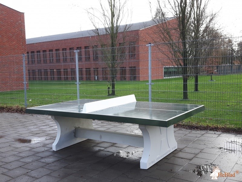Basisschool Pius X uit Bemmel