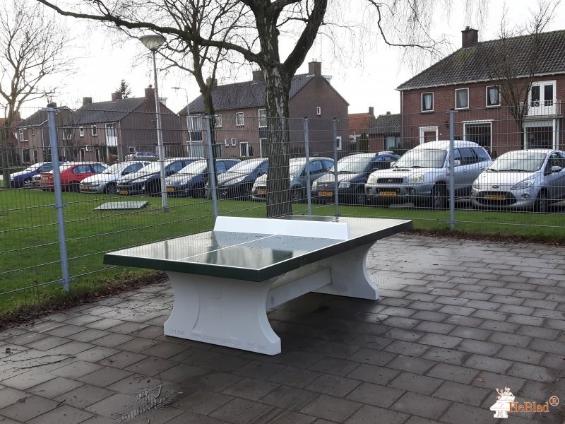 Basisschool Pius X uit Bemmel