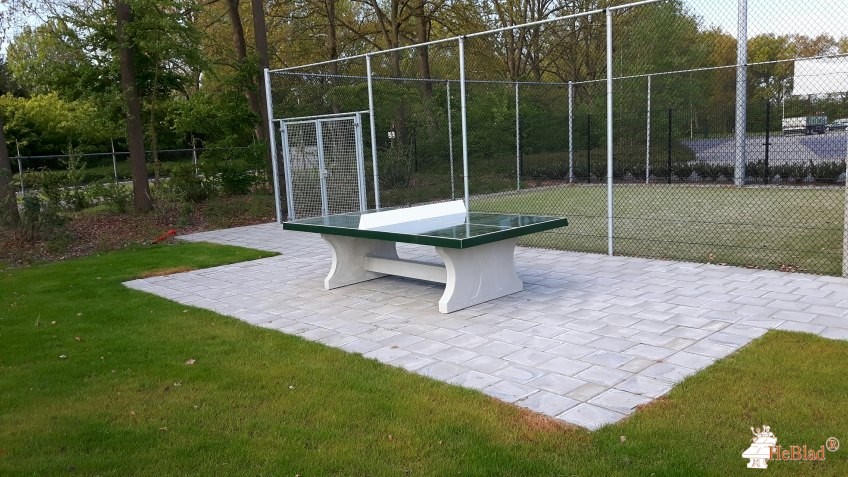 Tennisvereniging Smash Borne uit Borne