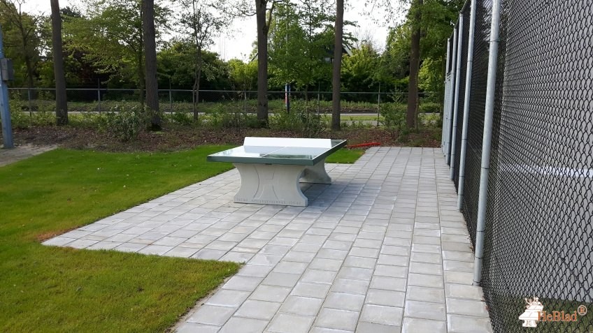 Tennisvereniging Smash Borne uit Borne