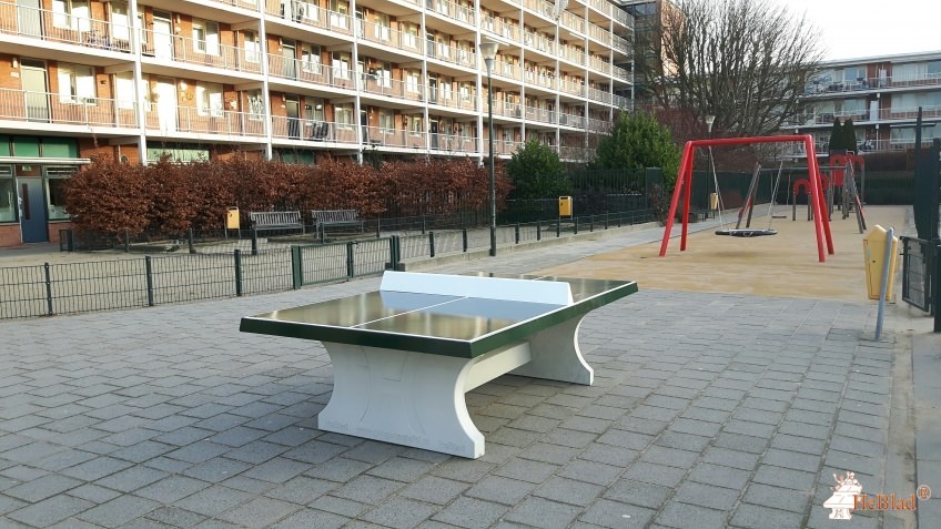 School De Regenboog uit Den Haag
