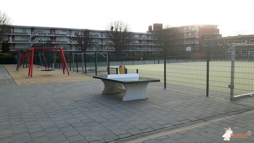 School De Regenboog uit Den Haag