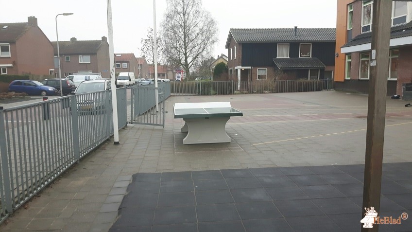 Bs De Lelie uit Driebruggen