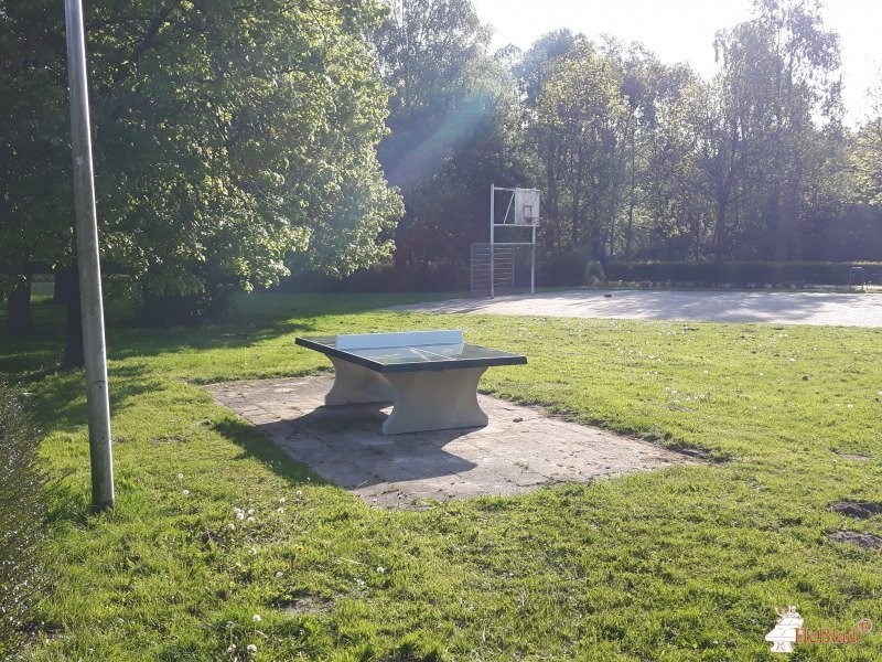 Vensterpark uit Duivendrecht