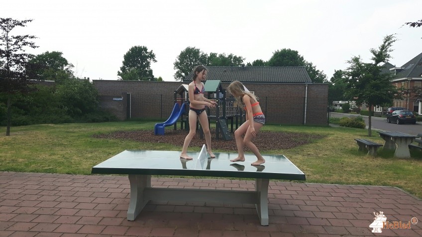 Gemeente Gennep uit Gennep