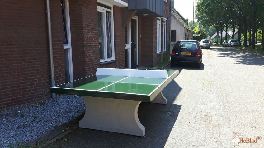 Stichting Idris uit Goirle