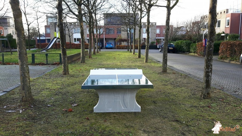 Verhoeven Groen BV uit Jirnsum
