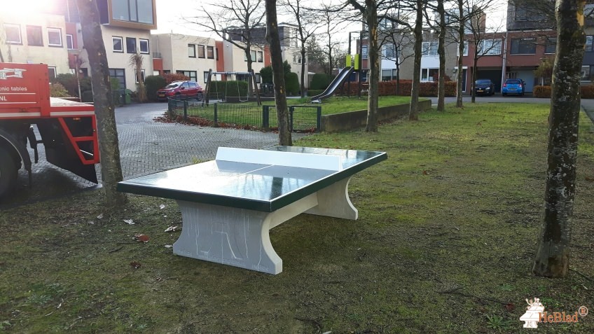 Verhoeven Groen BV uit Jirnsum