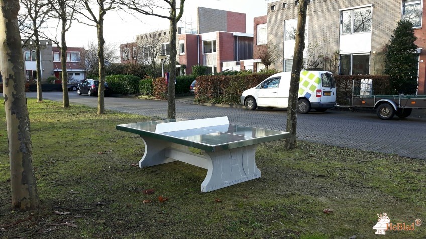 Verhoeven Groen BV uit Jirnsum