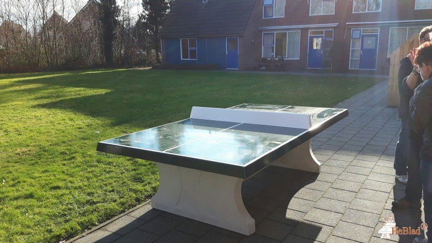 De Trans uit Vlagtwedde