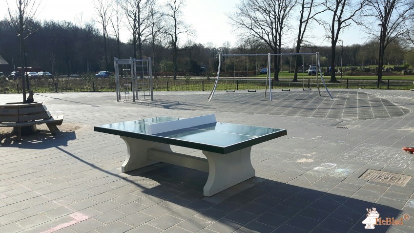 De Groeneborg uit Westerbork