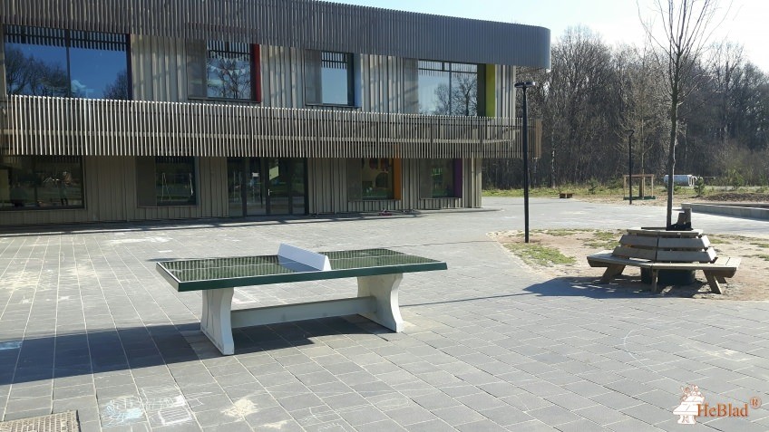 De Groeneborg uit Westerbork