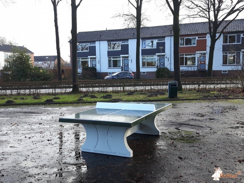 Asfaltplein uit Zelhem