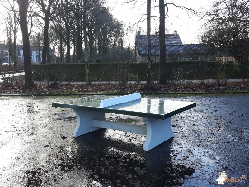 Asfaltplein uit Zelhem