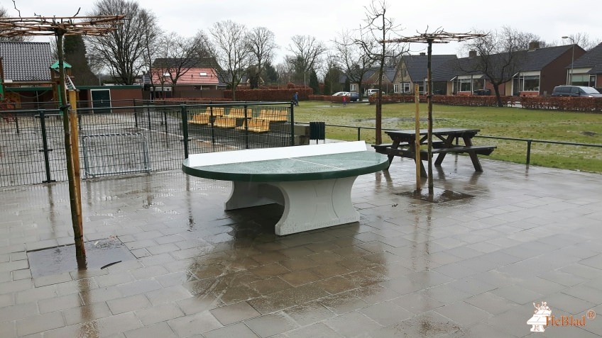 E.C. de Bongerd uit Terwolde