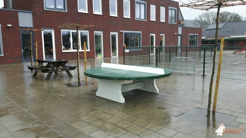 E.C. de Bongerd uit Terwolde
