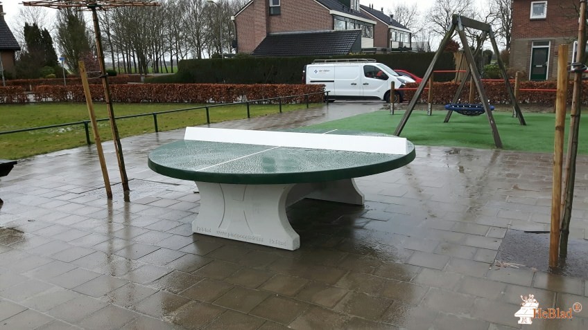 E.C. de Bongerd uit Terwolde