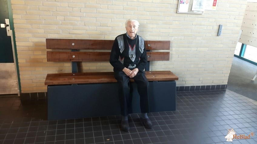School uit Den Haag