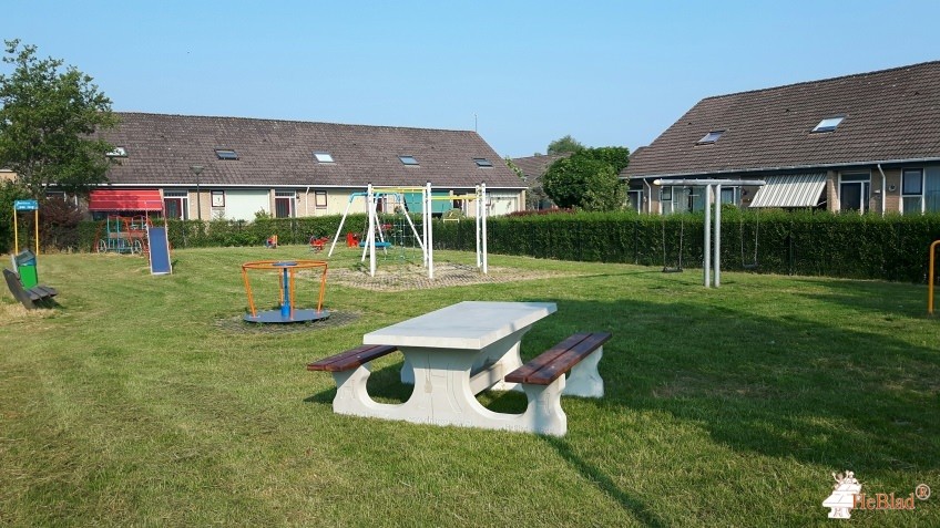 Wergea  uit Wergea