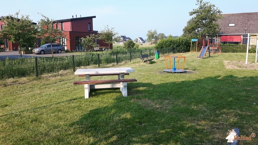 Wergea  uit Wergea
