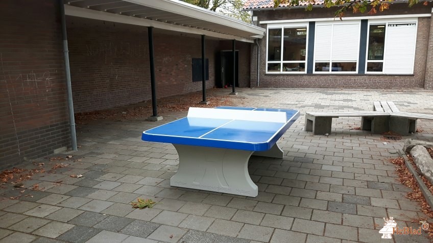 Basisschool BoschAkker uit Eindhoven