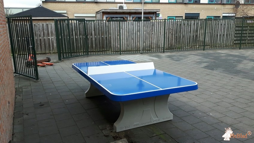 OBS Het Mozaiek uit Leerdam