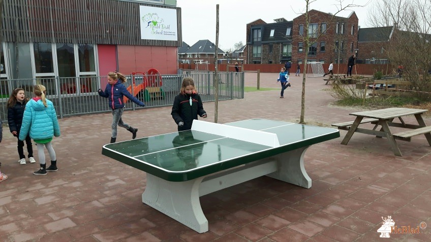 Roald Dahlschool uit Zwaag