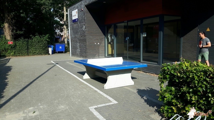 Horizon - Med. KDV Klavertje Vier uit Rotterdam Hoogvliet