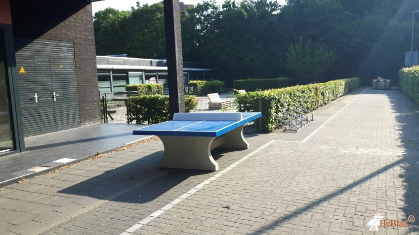 Horizon - Med. KDV Klavertje Vier uit Rotterdam Hoogvliet