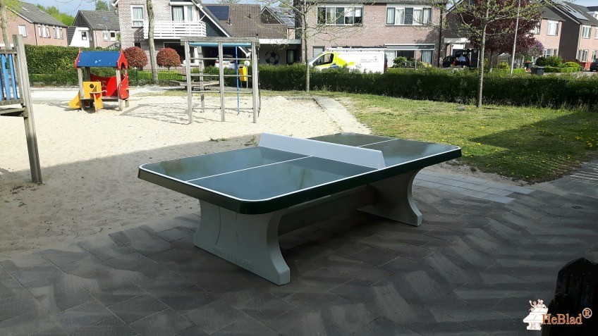 Speelveld  uit Bergentheim