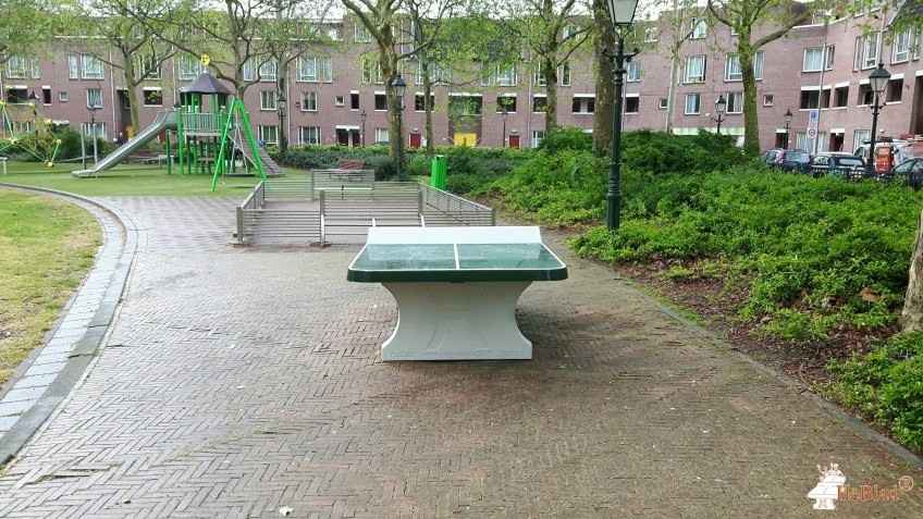 Speelveld uit Den Haag