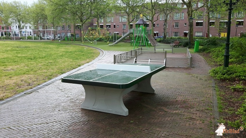 Speelveld uit Den Haag