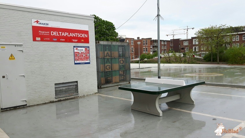 Speelveld uit Den Haag