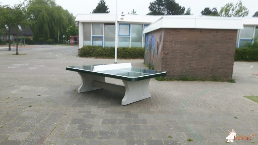 Sint Adelbertus uit Alkmaar