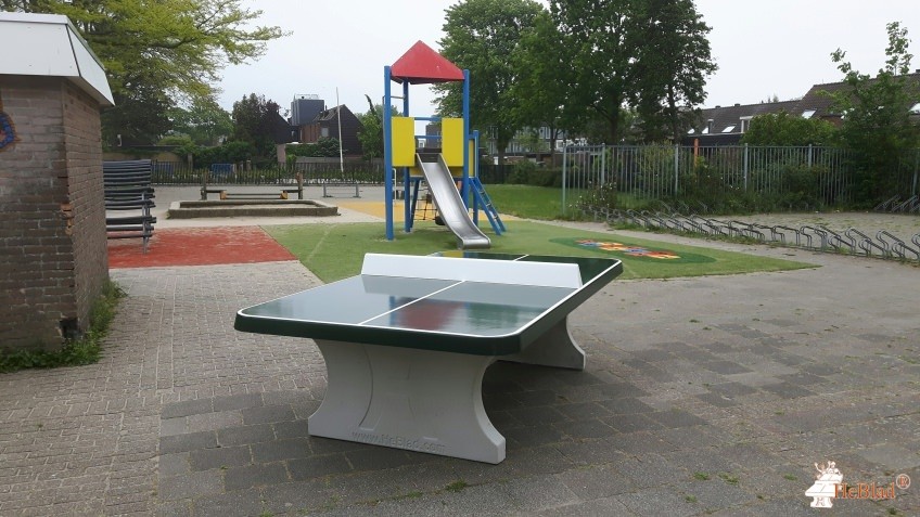 Sint Adelbertus uit Alkmaar