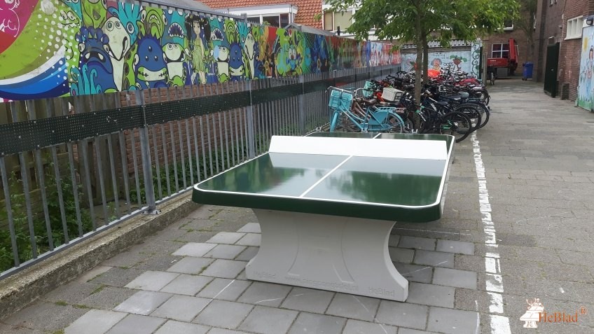 Sint Adelbertus uit Alkmaar