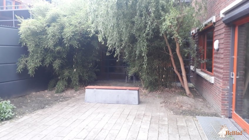 Fivoor B.V. Centrum Dubbele Problematiek HIZ uit Den Haag